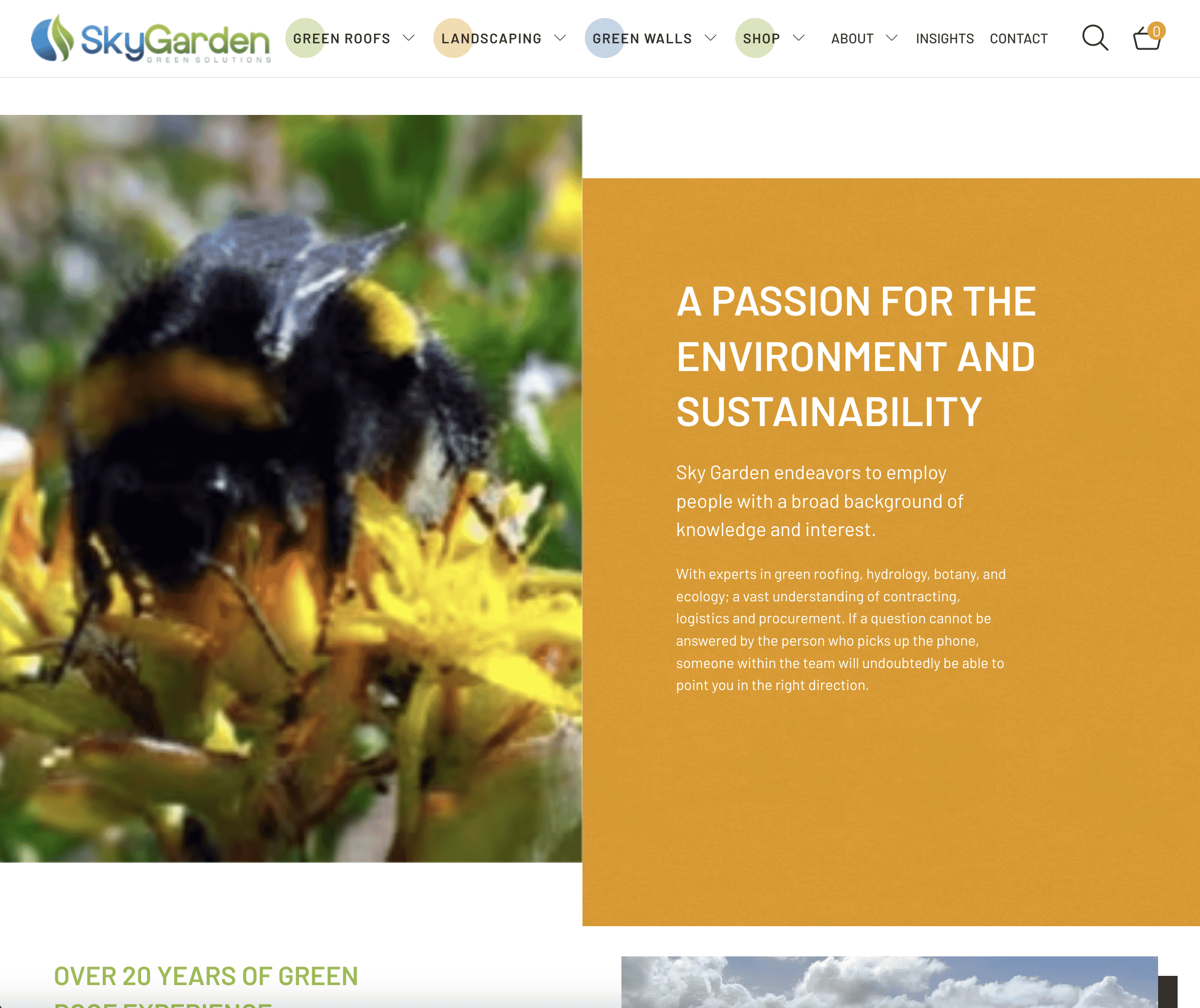 Screenshot 2025-01-06 at 17.10.07