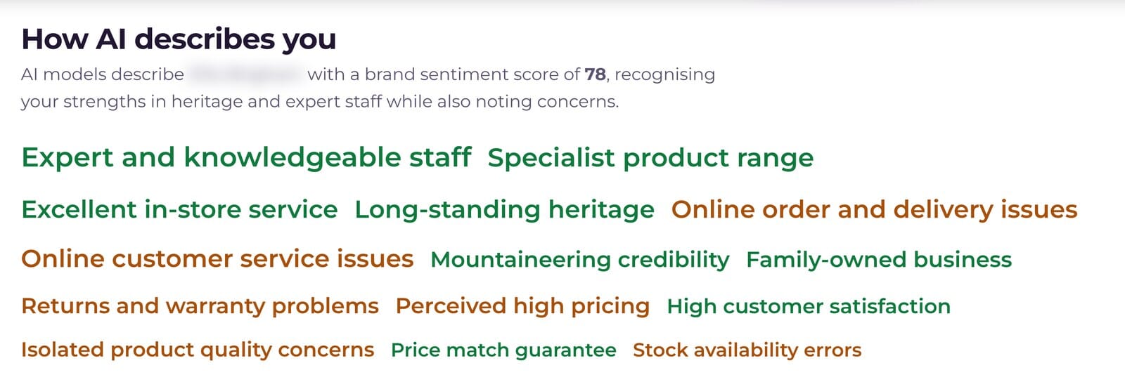 05 ai audit how ai describes the brand - SOZO Web Design Agency